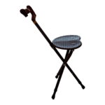 כיסא מטיילים עם ידית להליכה